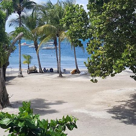 Chambre Chez L Habitant Sur La Plage Les Pieds Dans L Eau, Wifi Quartiers Anse a l'Ane Ngoại thất bức ảnh